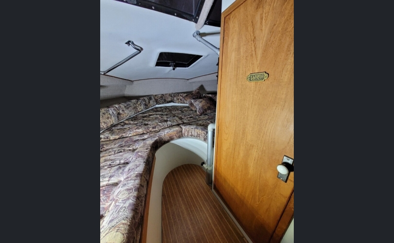 Finnsport 8500 Flybridge-kuva-2